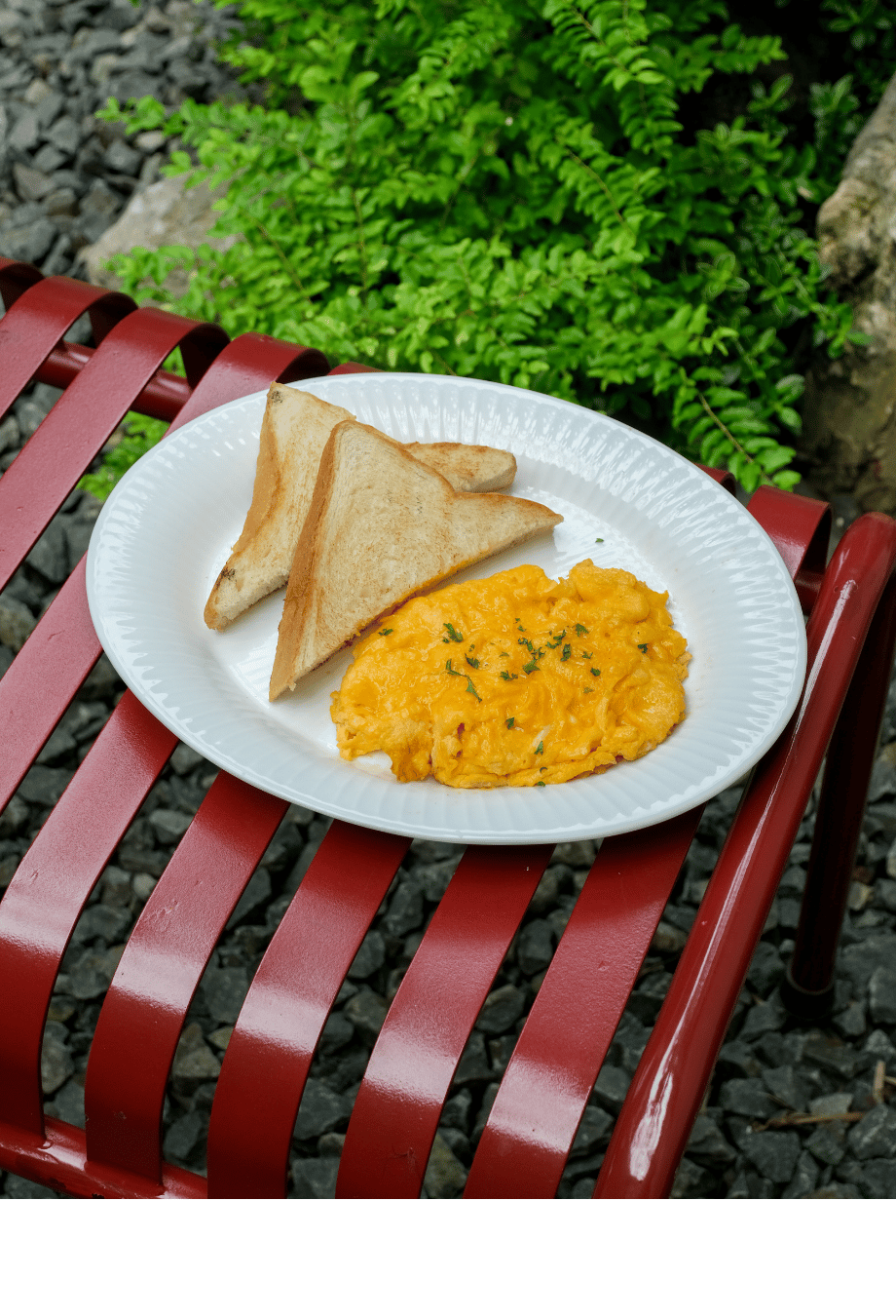 Best Scrambled Egg